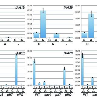 Expression Profiles Of Non Auxin Responsive Genes A Spotlight