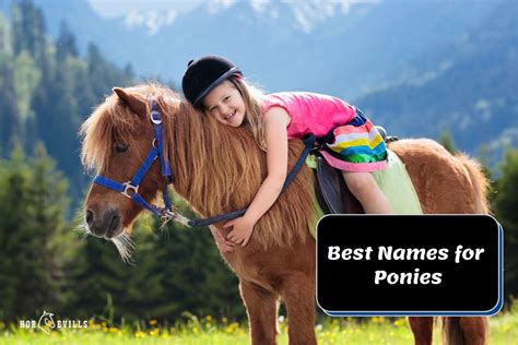 The Guide of Names for Ponies: 300 Unique & Popular Choices