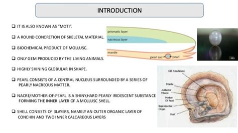 Pearl Formation