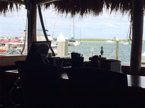 Dolphin Tiki Bar & Grill in Marco Island - Restaurant menu and reviews