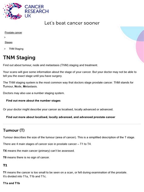 Prostate Cancer - Stages | PDF | Prostate Cancer | Clinical Medicine