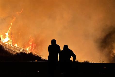 Podemos Recuperar El Ecosistema Tras Un Incendio Forestal