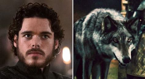 ¿cuántos Lobos Huargo De Los Stark Siguen Con Vida En Juego De Tronos