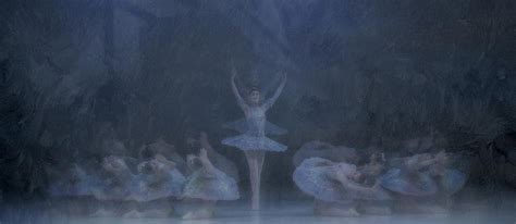 Dance Of The Snowflakes Photograph By Peet Van Den Berg Fine Art America