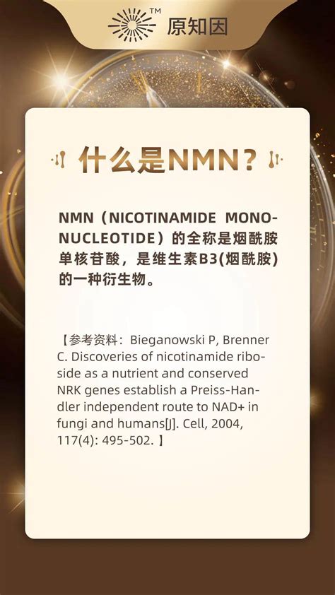 一文读懂nmn：什么是nmn？nmn有什么作用？ 知乎