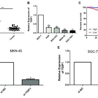 XTP8 Is Highly Expressed In GC A XTP8 Level In GC Tissues And