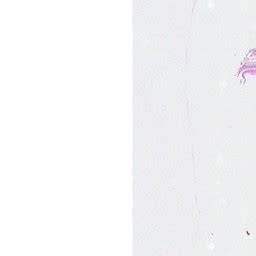 WS_077