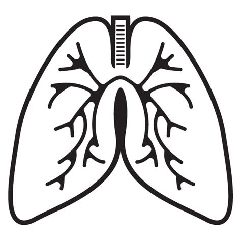 human lungs clip art 10 free Cliparts | Download images on Clipground 2025