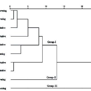 Dendrogram Obtained By Hierarchical Cluster Analysis HCA Based On