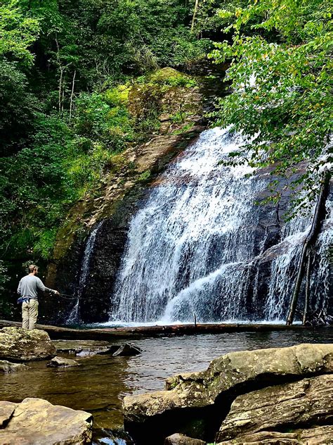 Guide On When To Go Fly Fishing In North Georgia Georgia Wild Trout