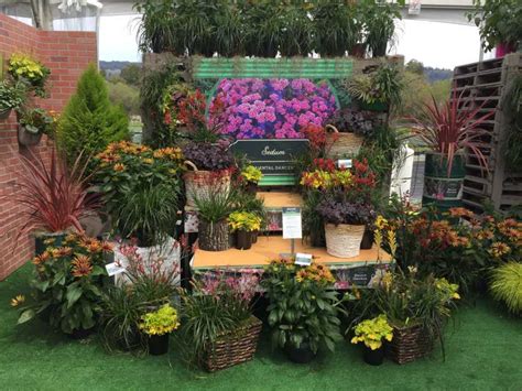 Ways To Sell Plants California Spring Trials Style Greenhouse