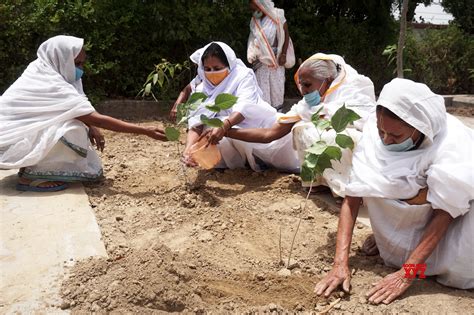 Vrindavan Widow Women Plant Saplings On The Occasion Of International