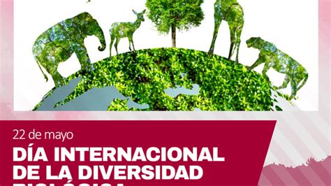 Día Internacional De La Diversidad Biológica Noticias Municipalidad