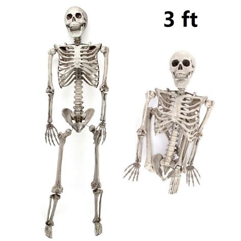 2 Pack 3ft Life Size Poseable Skeleton Human Bones Props Halloween