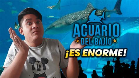 ACUARIO DEL BAJIO Vale la pena Tips Costos Ubicación YouTube