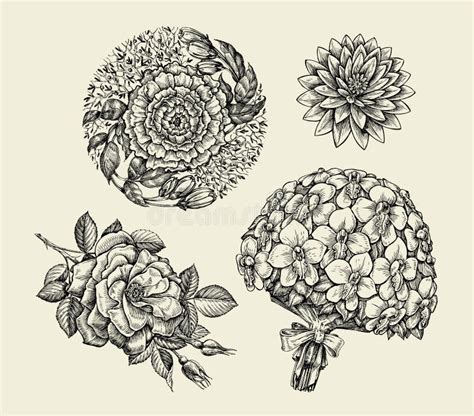 Flowers Hand Drawn Sketch Flower Bell Rose Lily Floral Pattern