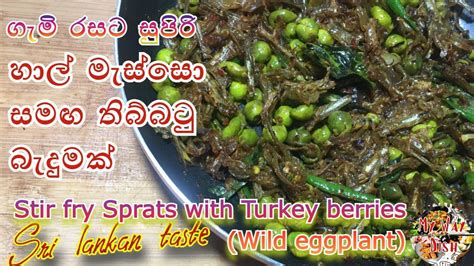 තිබ්බටු බැදුම Thibbatu Wild Eggplant With Sprats Turkey Berries