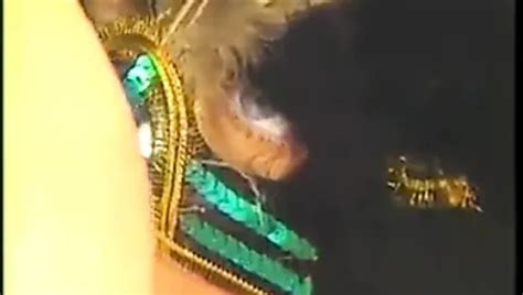 Pamela Peaks Porn Videos Porn Star Sex Scenes XHamster