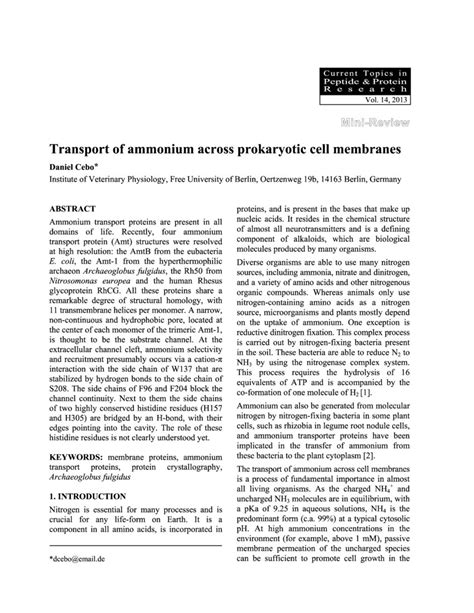 Transport Of Ammonium Across Prokaryotic Cell Membranes Deepai