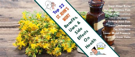 Top 22 St. John’s Wort Benefits, Uses, & Side Effects On Health