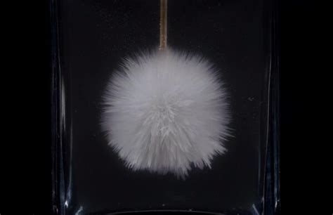 Hot Ice Experiment Shoily Science