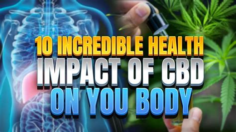 10 Incredible Health Impacts Of Cbd On Your Body That You Didn T Know Youtube