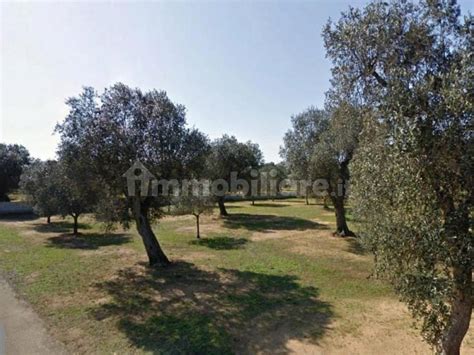 Terreno Agricolo Strada Comunale Acquarica Vernole Rif 109839229