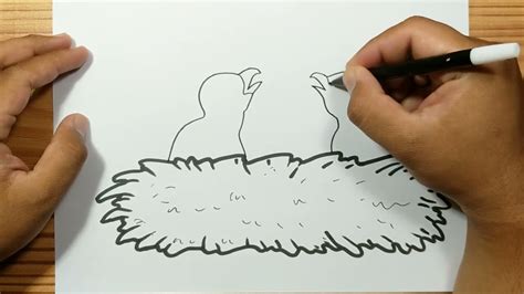 How To Draw Eagle Nest Youtube