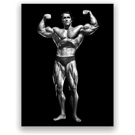 Arnold Schwarzenegger Double Bicep Pose Classique Photographie Affiche