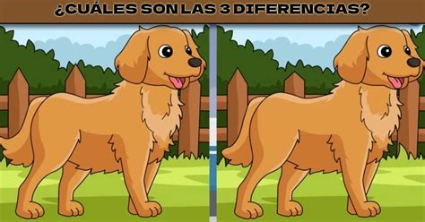 Reto Visual Para Mentes Brillantes Encuentra Las Diferencias En Solo