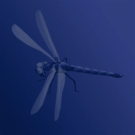 Damselfly Dragonflies And Damseflies Insect Wing OpenOffice Draw