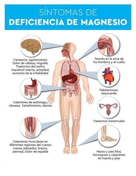 Pin De Chule Garrido Gil En Chuleutilitys En Nutricion Y Salud