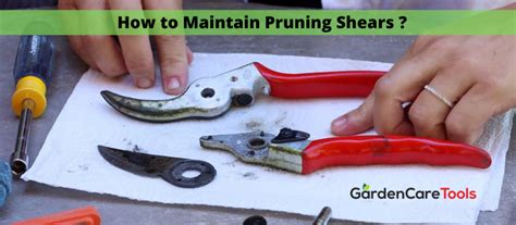 How to Maintain Pruning Shears - A Complete Guide