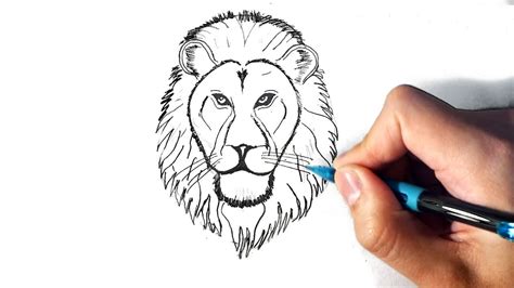 Cómo dibujar un león paso a paso fácil Dibujos de leones