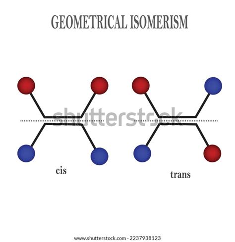 4 Cis Trans Isomerism Alkenes Royalty-Free Photos and Stock Images | Shutterstock