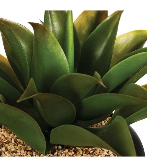 Plante Artificielle Aloe Vera Pot En C Ramique H Cm Bricomarch