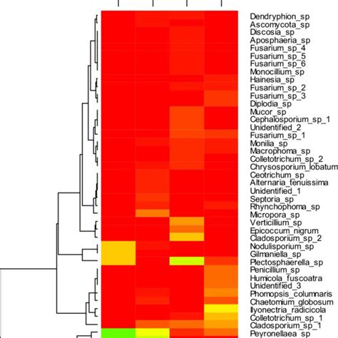 Heat Maps Of The Relative Abundance Of Culturable Fungal Endophytes Of