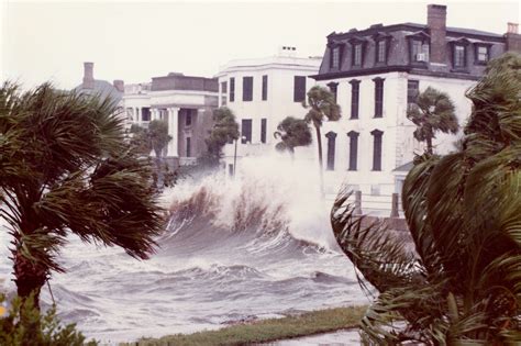 The Charleston Museum | News and Events » Forces of Nature: Charleston ...