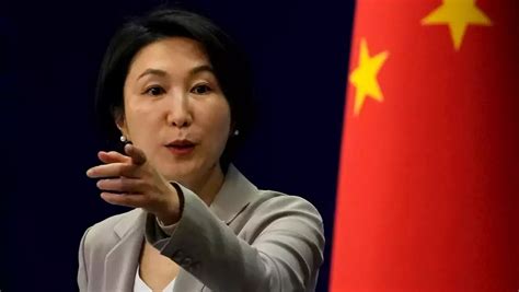 China Nennt Baerbocks Diktator Aussage Zu Xi Offene Politische