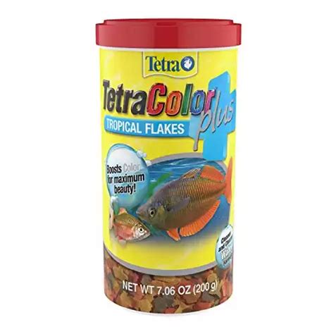 The 7 Best Tropical Fish Food Options