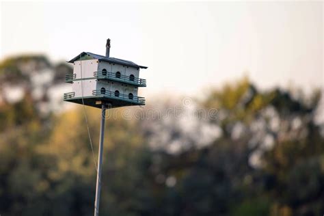 Birdhouse for Purple Martins Stock Photo - Image of martins, south