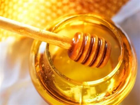 Nz Mānuka Honey Trademark Bid Turned Down Food Ticker