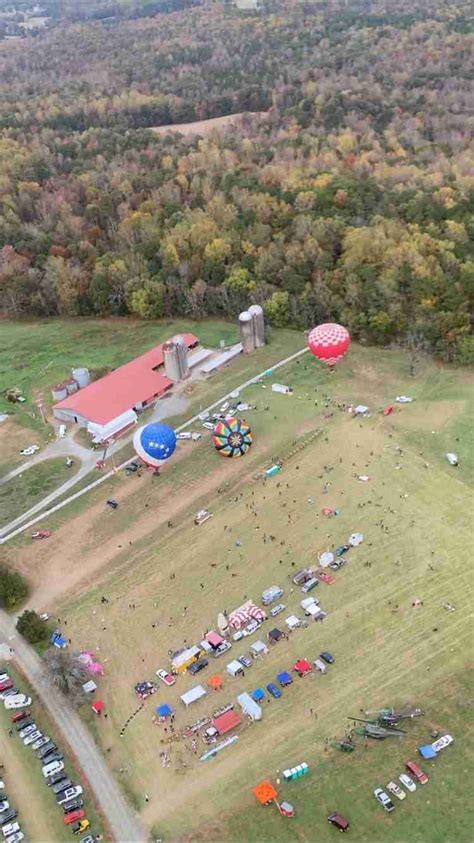 Aerial Shot | In the Field