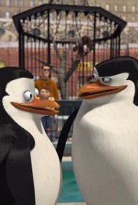 The Penguins of Madagascar DVD Release Date