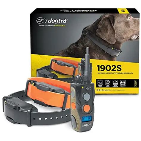 10 Strongest Shock Collars For Dogs Buying Guide And Reviews