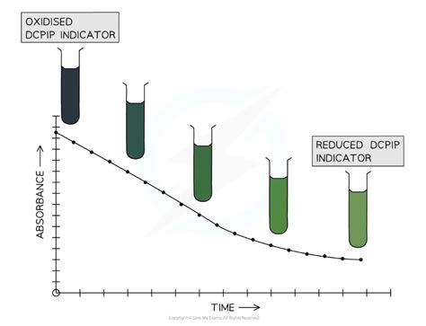 Edexcel A SNAB A Level Biology 复习笔记5 2 7 Practical The Hill Reaction