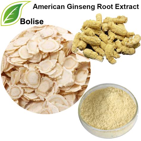 American Ginseng Extract Suppliers,American Ginseng Root Extract Manufacturers from Bolise