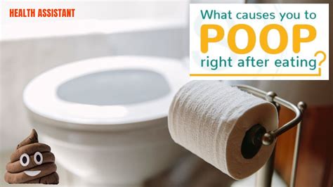 Poop Right After Eating | Having To Poop Right After Eating | Bowel