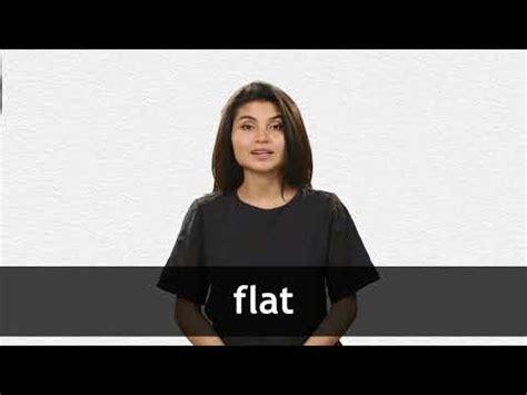 FLAT definition and meaning | Collins English Dictionary 