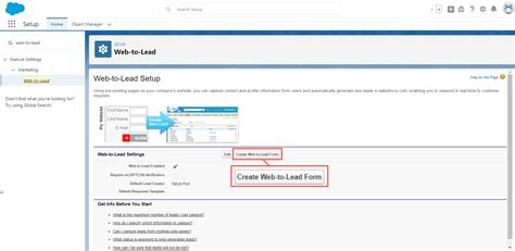 Web To Lead In Salesforce SalesForce FAQs